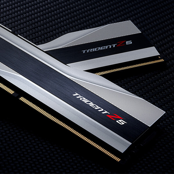 G.Skill Trident Z5 32GB (16GBx2) DDR5 6000MHz RAM (Metallic Silver)